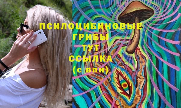 мдпв Мегион
