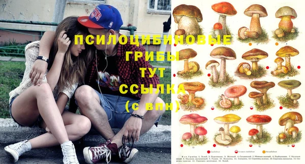 кокс Медногорск